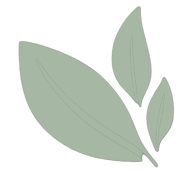 Logo Masáže Ivana Pavlatovská
